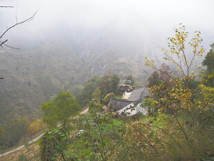 山间雾中村落美景