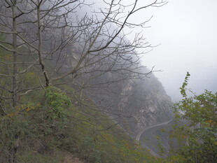 山间云雾缭绕的朦胧景致