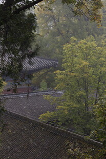 山林中的静谧中式建筑