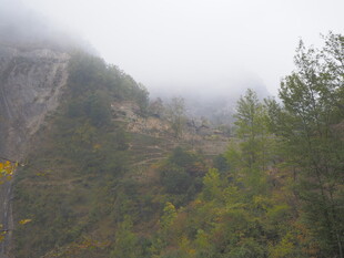 山间云雾缭绕的葱郁景致