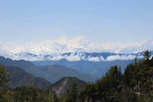 雪山远景与葱郁山林