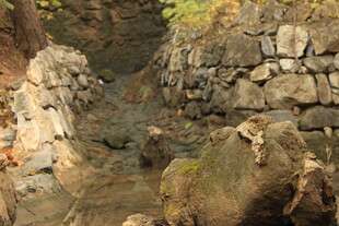 古老石砌水道遗迹