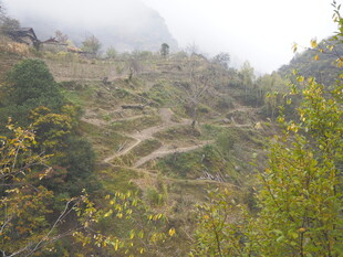 山间蜿蜒小路 绿意环绕