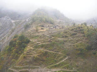 山间云雾缭绕的村落小径