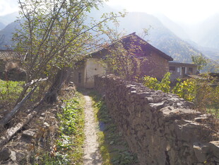 山间小道旁的古朴乡村景象