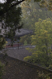 山林中的中式建筑景观