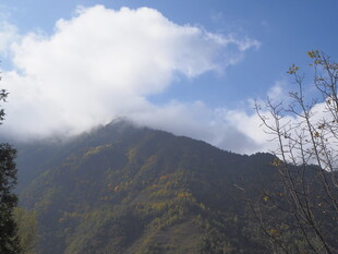 云雾缭绕的青山美景