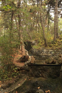 林间静谧溪流景观