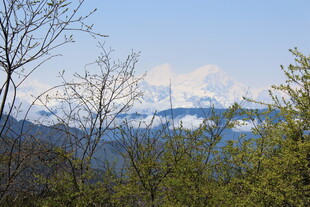 山林间远眺雪山美景