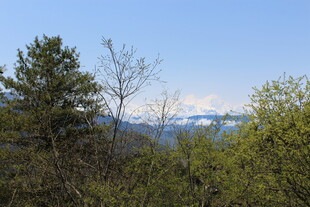 山林间的蓝天与远处雪山