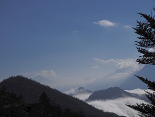 雪山松林间的壮阔蓝天