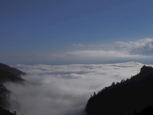 云海漫山间 壮美如画景