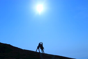 登山者逆光攀爬壮丽山峰