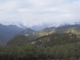 山间云雾缭绕的森林美景