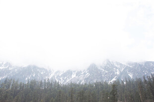 雪山下的森林美景