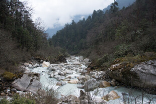 山间湍急溪流与茂密山林