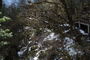 山间雪覆栈道景色