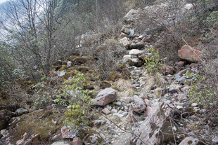 山间崎岖小径与零星植被