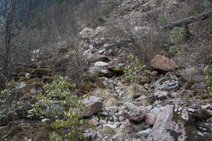 山间碎石与零星绿植景观