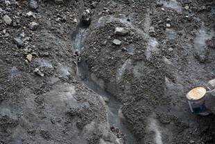 地面裂缝与截断的树桩