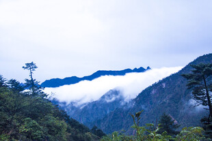 云雾缭绕的秀丽山间景色