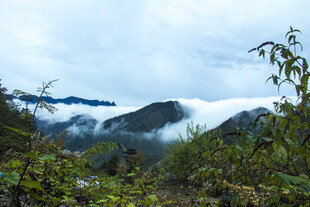 山间云雾缭绕的自然美景