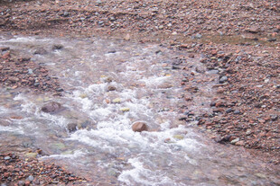 山间溪流潺潺流淌