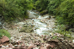 山间溪流 自然野趣之景