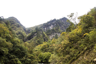 山间绿意盎然的秀丽峡谷