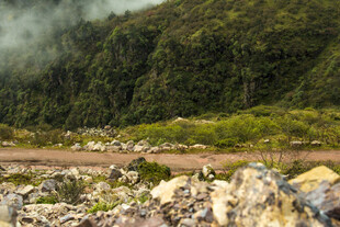 山间碎石与葱郁植被景观