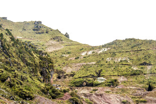 山间绿意盎然的自然景致