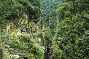 山间蜿蜒公路 绿意盎然