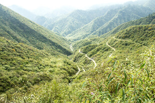 山间蜿蜒公路 绿意盎然