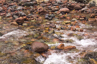 山间溪流中的多彩鹅卵石