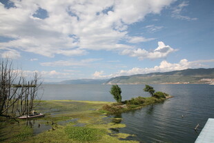 湖畔美景 宁静自然风光