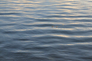 波光粼粼的水面