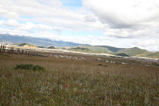 广袤草原与远处山峦景观