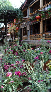 古巷繁花装点的诗意景致