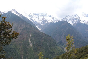雪山与山林的秀丽景致