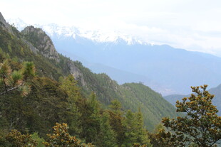 青山葱郁的山间美景