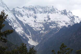 巍峨雪山下的葱郁山林