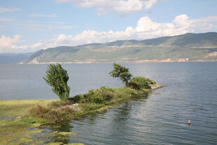 湖畔绿树点缀宁静水域