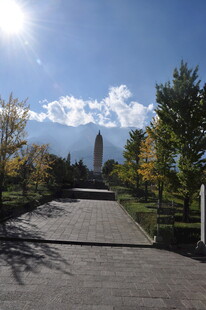 宽阔大道旁的绿树与高塔