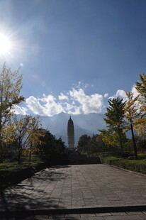 阳光照耀下的山间道路