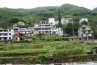 山村田园风光美景