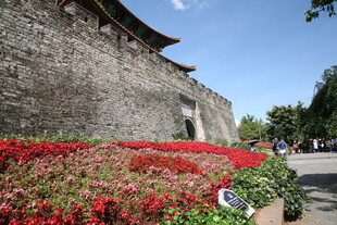 古城墙下的艳丽花卉景观