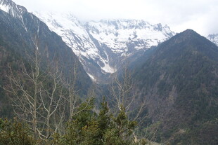 雪山下的山林景观