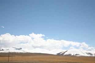 蓝天白云下的广袤草原