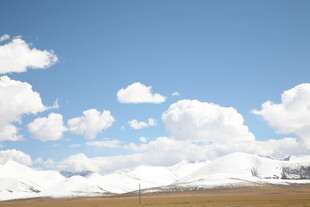 蓝天白云下的广袤原野