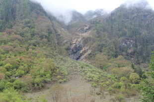 山间云雾缭绕的翠绿山谷